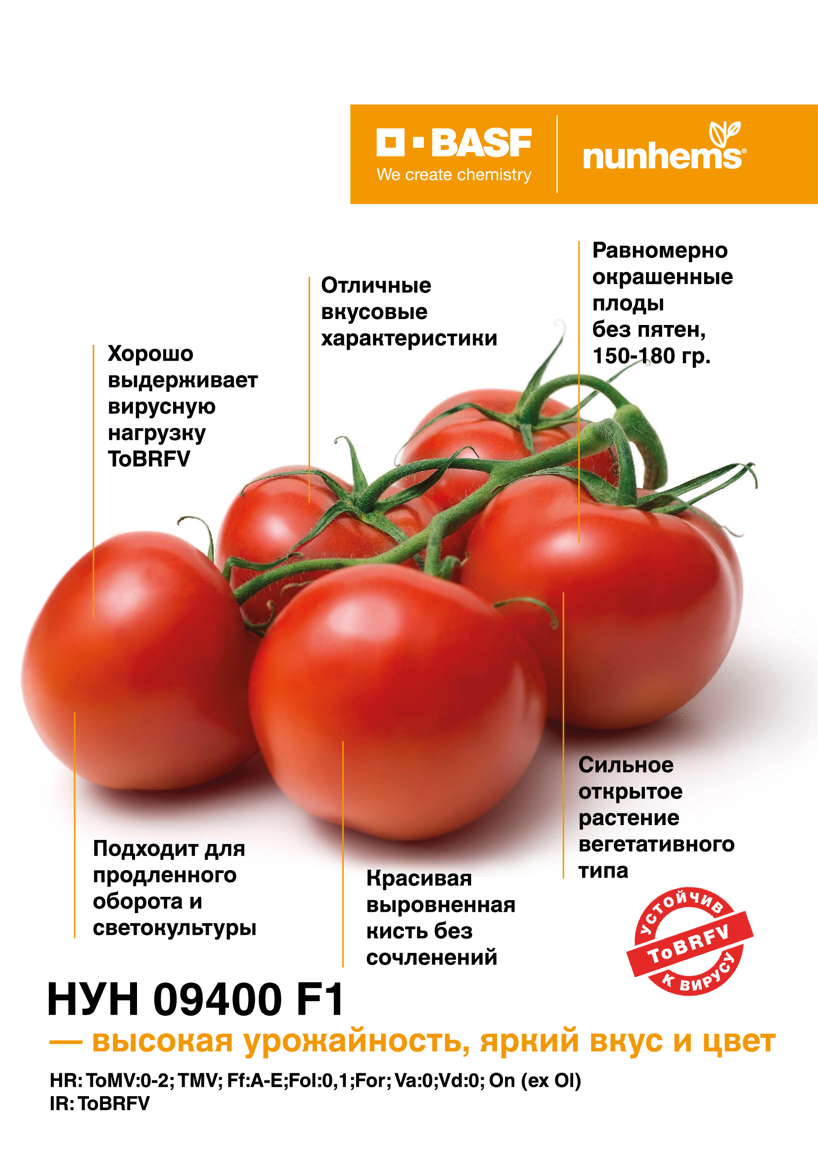 Вирус TOBRFV в защищенном грунте. основные факторы выживания в сложившейся  ситуации