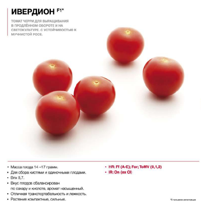 Ивердион