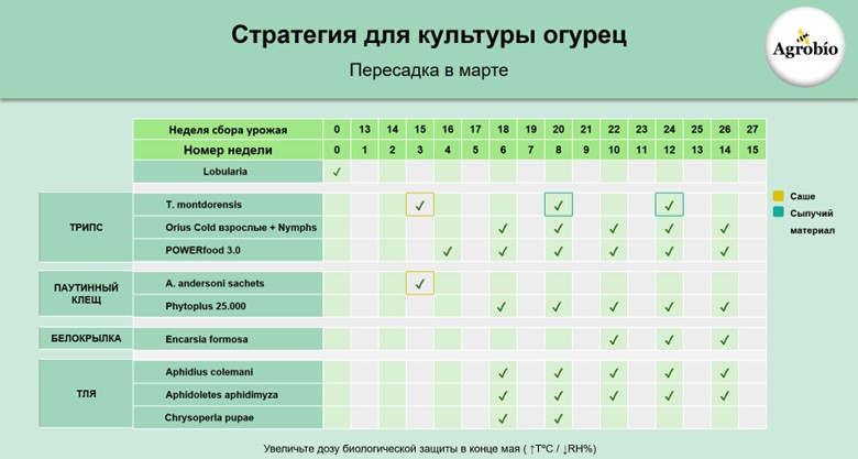 Рисунок10.jpg