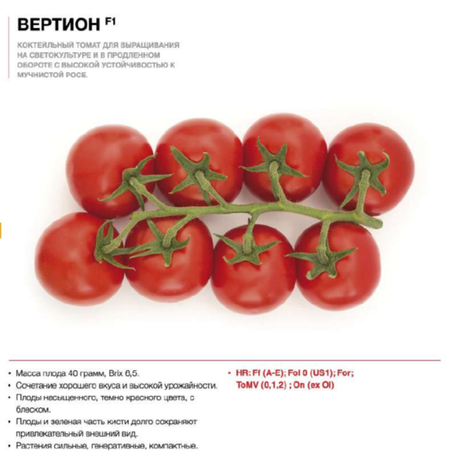 вертион