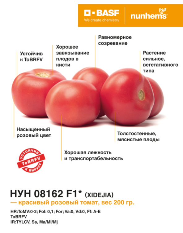 НУН 08162 XIDEJIA