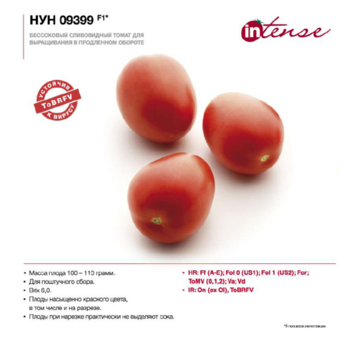 нун 09399