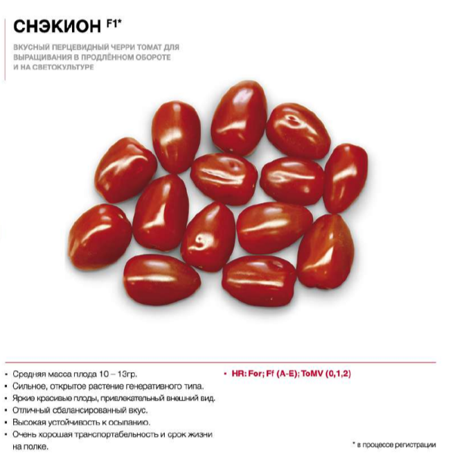 Снекион.png