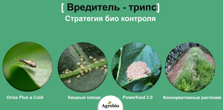Рисунок6.jpg