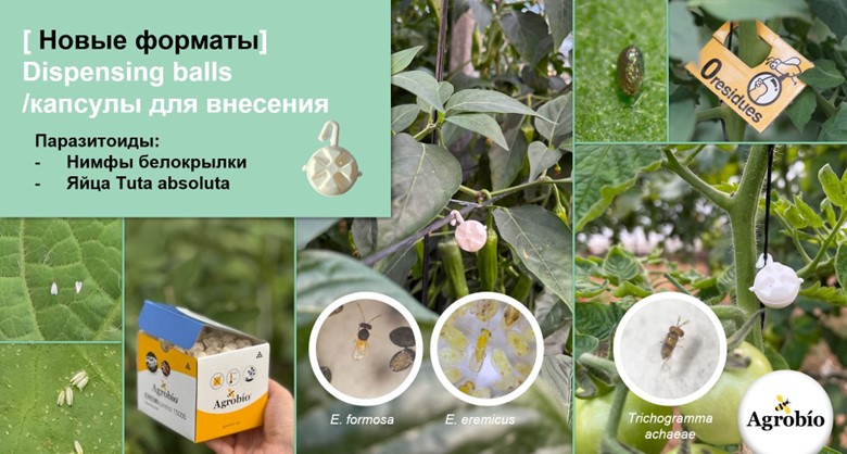 Рисунок13.jpg