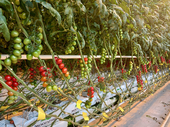 Факторы роста цен на удобрения